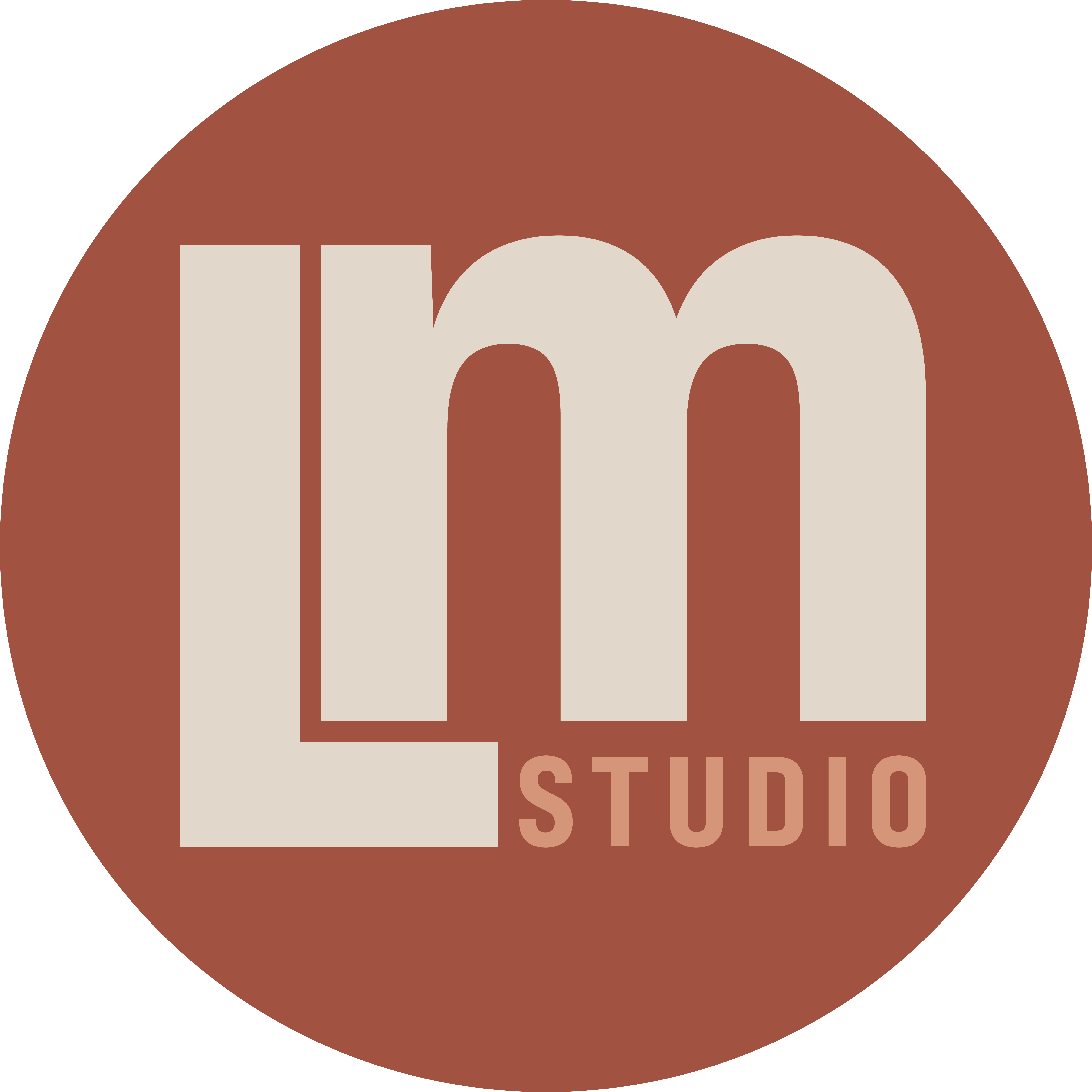 LM Studio